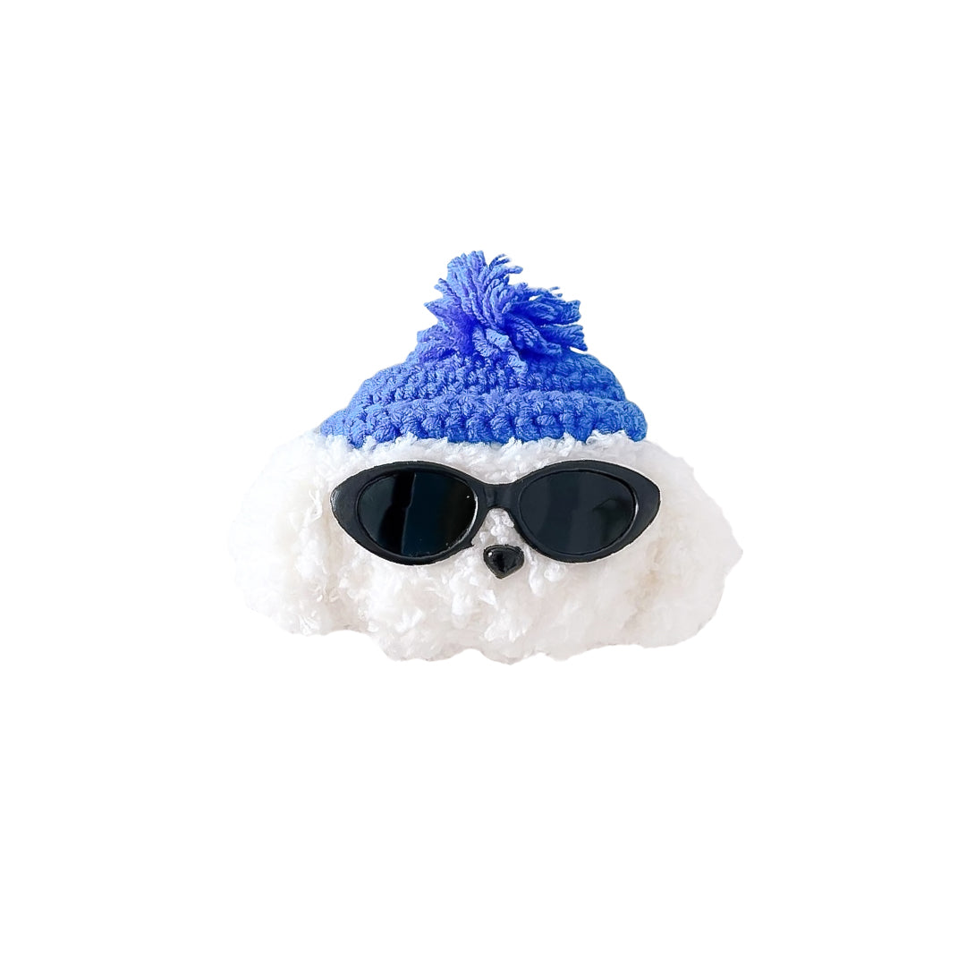 Sunglasses Teddy Dog